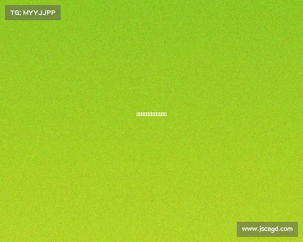 体育直播女排赛事最新消息