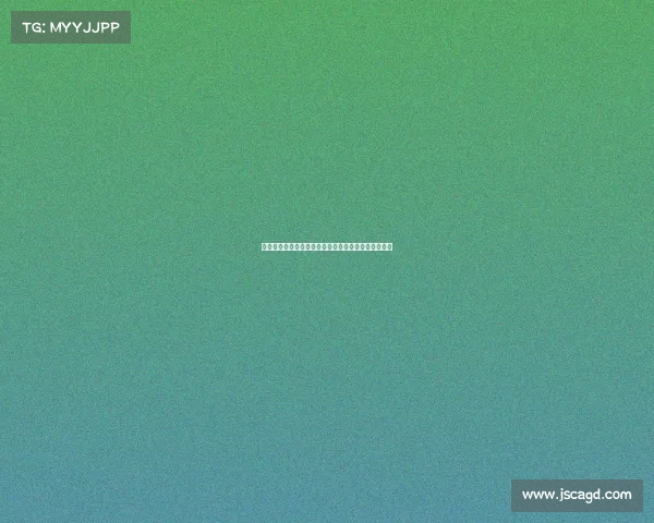 在现代环境下运动赛事安保措施的关键要素与实施策略